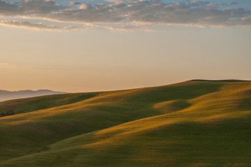 Early morning light  in the Tuscany region of Italy