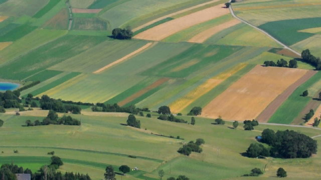 Green field aerial view