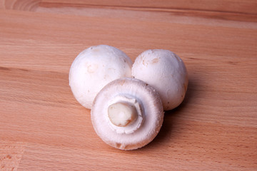 Frischer Wiesenchampignon auf Holzplatte