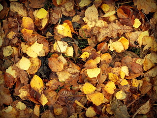 november