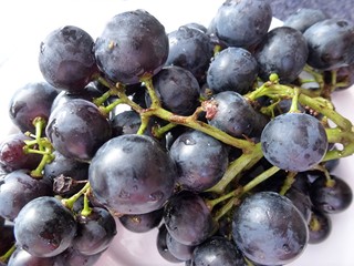 grapes