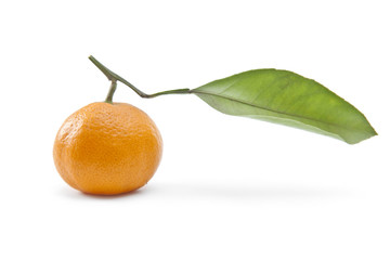 Fresh and tasty orange with leaf