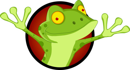 funny frog cartoon