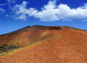 Canary islands in Tenerife Teide National Park