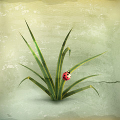 Ladybug and grass, old-style