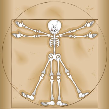 Vitruvian Skeleton Man-Uomo Scheletro Vitruviano-Vector