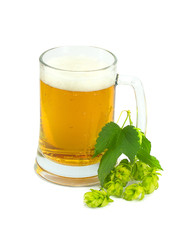 glass of beer