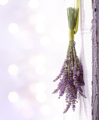 Fototapeta premium lavender hanging from an old door