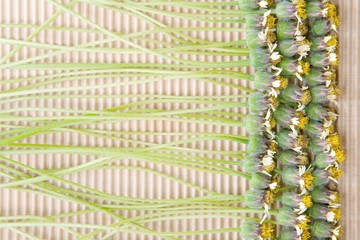 Flower grass and brown paper background