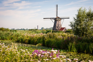 Kinderdijk