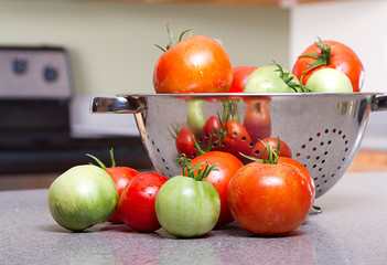 organic tomatoes in a colander