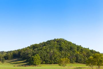 Countryside Landscape