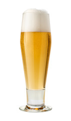 Classic Pilsner (Beer) Isolated