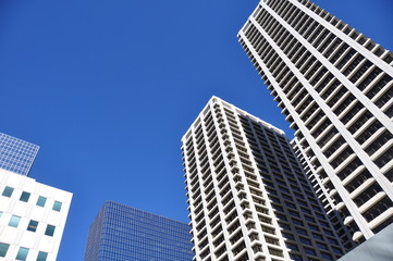 Obraz premium Skyscrapers towering over Calgary Alberta Canada