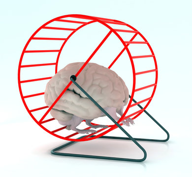 Brain In Hamster Wheel