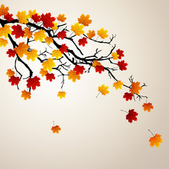 Fototapeta na wymiar Vector Illustration of an Autumnal Background