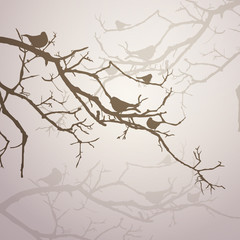 Vector Illustration of Branches with Birds