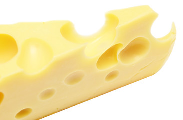 cheese
