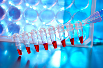 Sripe of plastic tubes with samples for DNA analysis