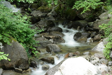 Rivière de la Castellane,Pyrénées orientales