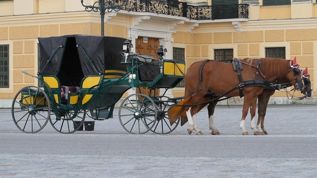 Carriage with horses for hire in Vienna