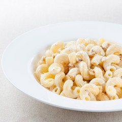 plate of macaroni with cheese sauce