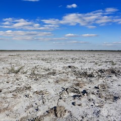 saline land panorama