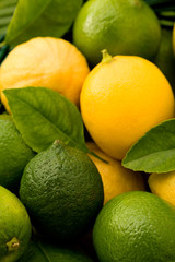 Fresh lemons and limes with leaves, full frame