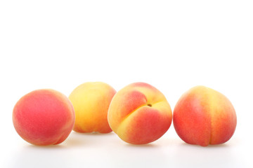 apricots
