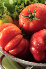 Washing red beefsteak tomatoes and lettuce leaves   in a sieve