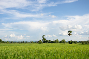 rural of thailand