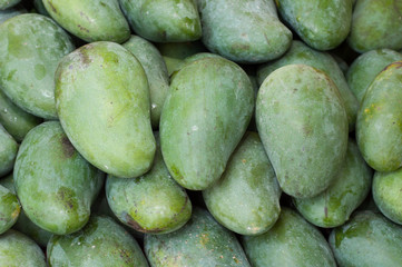 mango fruits