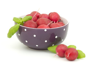 radish in a bowl