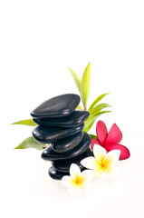 Fototapeta na wymiar Black zen stone with frangipani flowers
