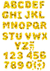 Fototapeta premium Alphabet - letters and numbers with autumn leaves