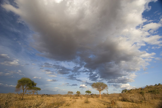 Spectacular clouds over Tsavo East plains, Kenya
