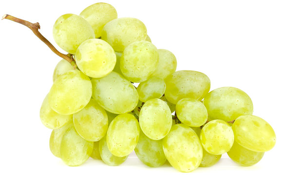 Cluster of White Grapes Isolated on White Background