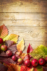 Autumn apples and leaves on wooden table with grunge texture