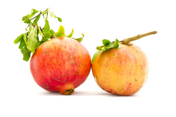 Pomegranate on white background
