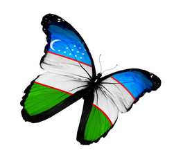 Uzbek flag butterfly flying, isolated on white background