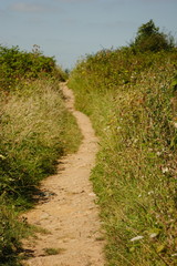 Fototapeta premium Trail in summer
