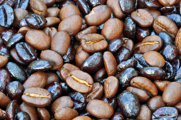 Kaffeebohnen