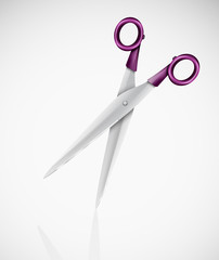 Isolated scissors