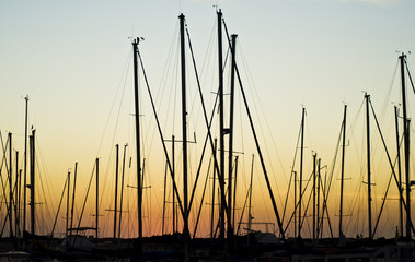Masts and sunset