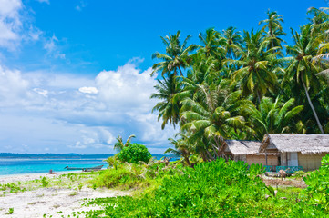 Tropical island landscape with huts
