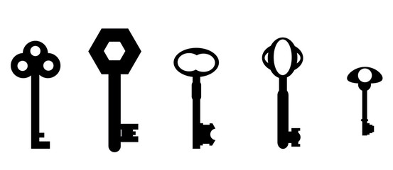 Skeleton Keys Set