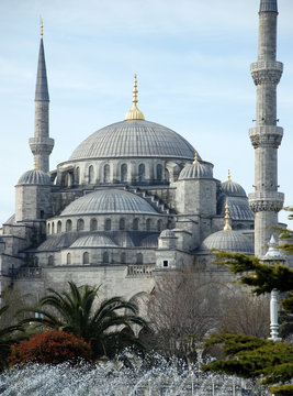 The blue mosque