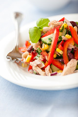Vegetable salad with tuna and fresh herbs