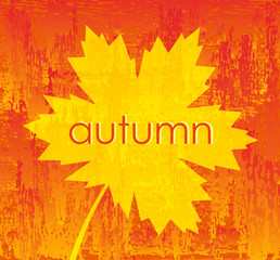Autumn background