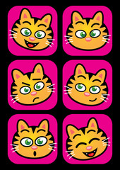 Cat facial expressions